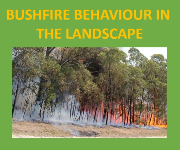 Bushfire in Landscape